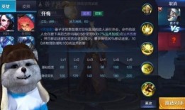 王者权威爆料主播视频下载,下载攻略与精彩瞬间回顾